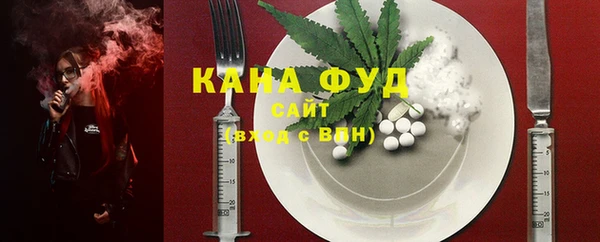 шишки Новодвинск