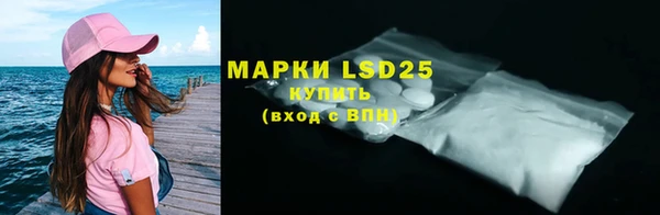 шишки Новодвинск