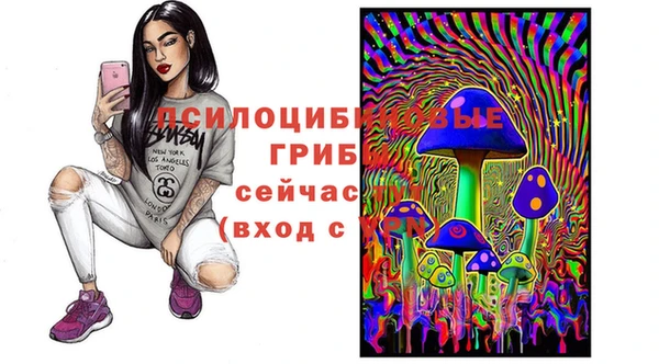 прущие крисы Алексин
