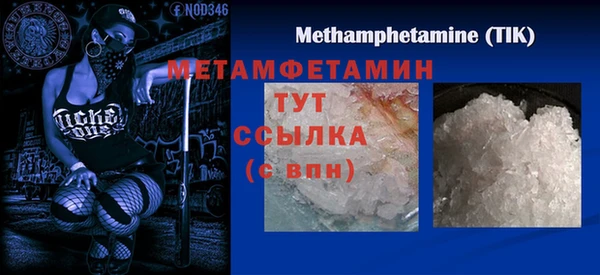 шишки Новодвинск