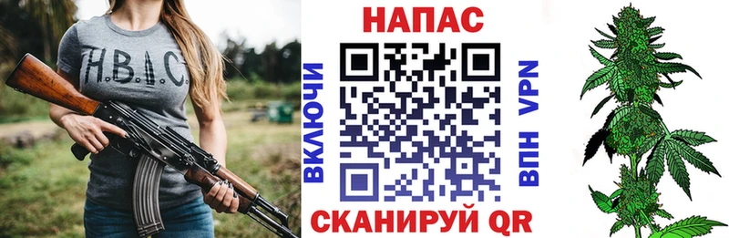 Бошки Шишки семена  закладка  Абаза 